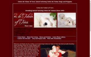 Coton de Tulear of Tara