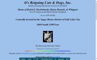 Reigning Cats & Dogs