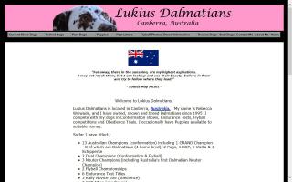 Lukius Dalmatians