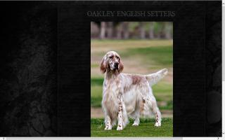 Oakley English Setters