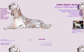 CaRob English Setters