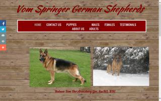 Vom Springer German Shepherds