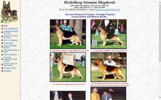 Heidelberg German Shepherds