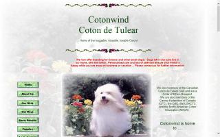 Cotonwind Coton de Tulears