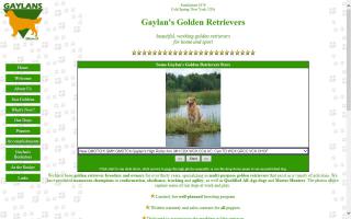 Gaylan's Golden Retrievers