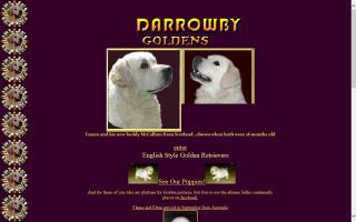 Darrowby Goldens