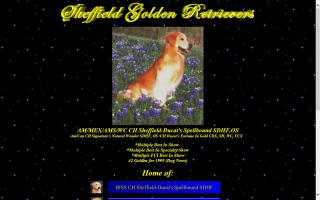 Sheffield Goldens