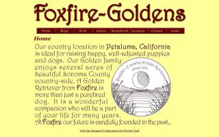 Foxfire Golden Retrievers