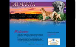 Delmarva Goldens