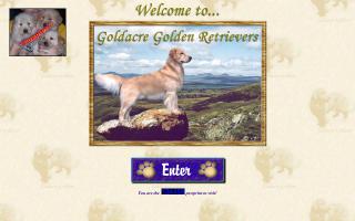 Goldacre Golden Retrievers