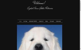 White Dove Ranch Golden Retrievers