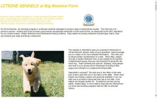 Citrine Kennels at Big Meadow Farm