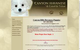 Canyon Hills Havanese  & Coton de Tulear