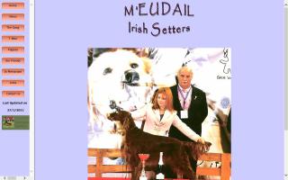 M'Eudail Irish Setters