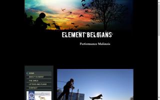 Element Belgians