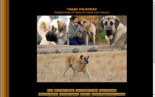 TAKAS Anatolian & Central Asian Shepherds