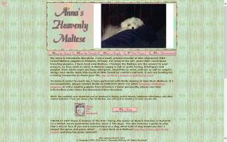 Anna's Heavenly Maltese