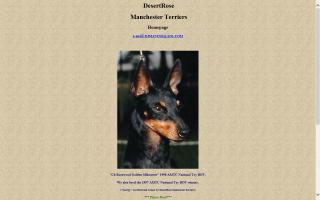 DesertRose Manchester Terriers