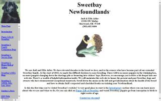 Sweetbay Newfoundlands