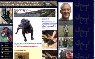 Deadgame Patterdale Terriers