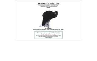 Remington Pointers