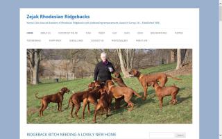 Zejak Rhodesian Ridgebacks