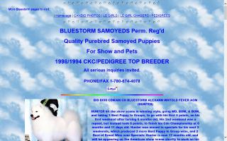 Bluestorm Samoyeds