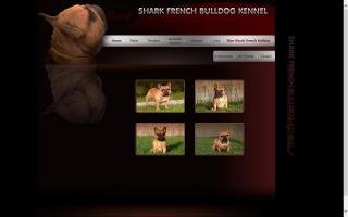 Shark French Bulldog Kennel