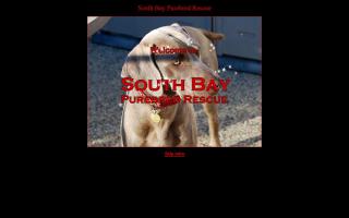 South Bay Purebred Rescue