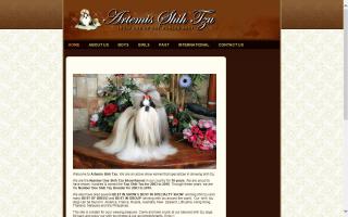 Artemis Shih Tzu