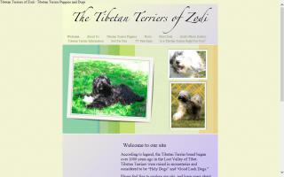 Tibetan Terriers of Zodi