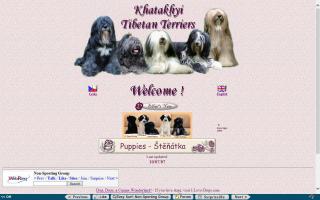 Khatakhyi Tibetan Terriers