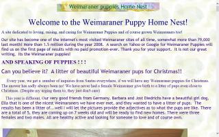 Weimaraner Puppies Home Nest