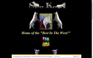 Silver Kennel White German Shepherds