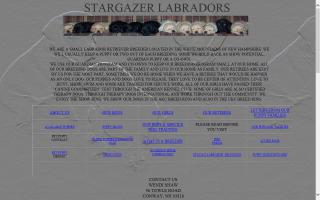 Stargazer Labradors