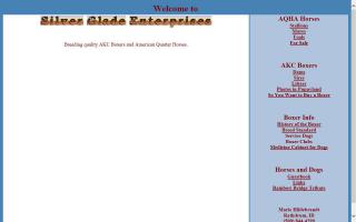 Silver Glade Enterprises