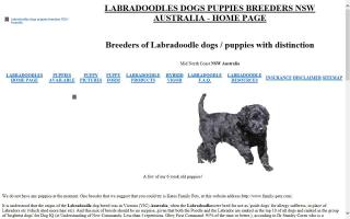 Labradoodles Australia