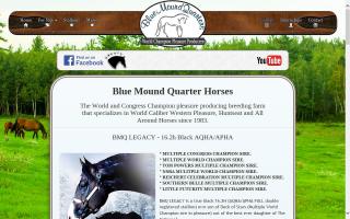 Blue Mound Quarter Horses - BMQ Horses