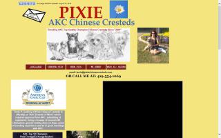 Pixie Chinese Cresteds