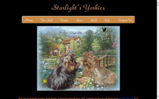 Starlight's Yorkies