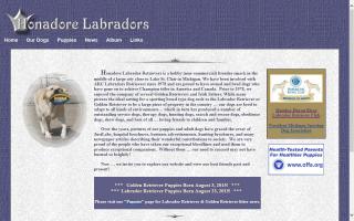 Honadore Labrador Retrievers