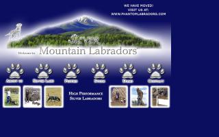 Silver Mountain Labradors