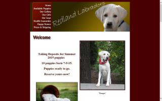 Redland Labradors