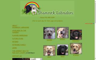 Shamrock Labradors