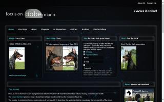Focus Dobermann Kennel