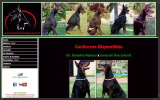 Criadero Dobermann Fercus / Fercus Dobermann Kennel - FDK