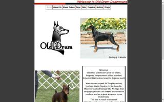 Old Drum Dobermans