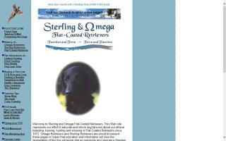 Sterling and Omega Flat-Coated Retrievers