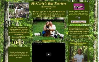 McCarty's Rat Terriers
