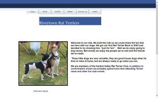 Rivertown Rat Terriers